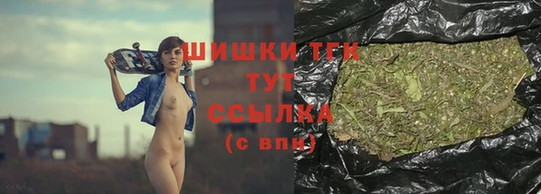 дмт Пересвет