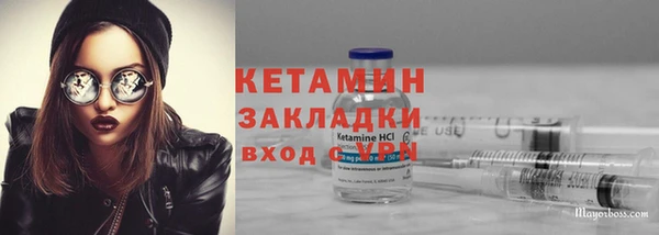 дмт Пересвет