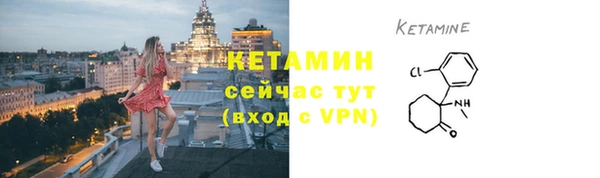 дмт Пересвет