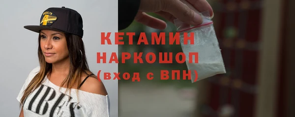 дмт Пересвет