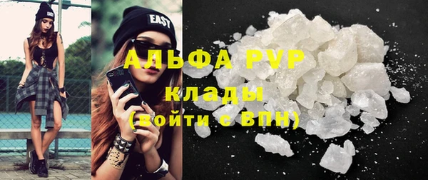 дмт Пересвет