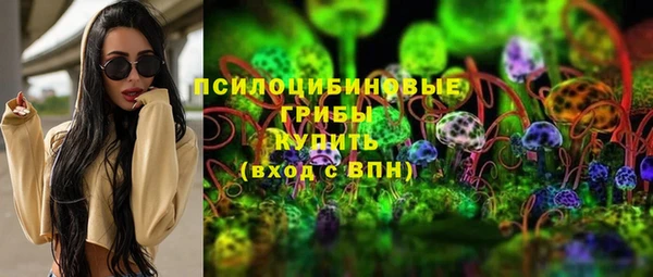 дмт Пересвет