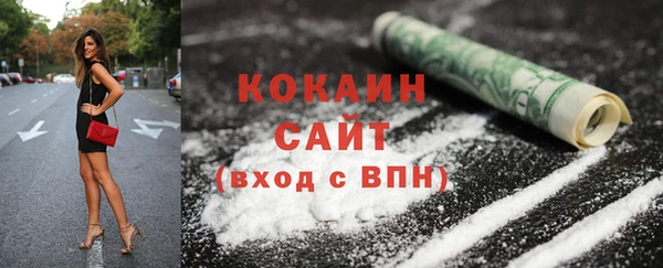 дмт Пересвет